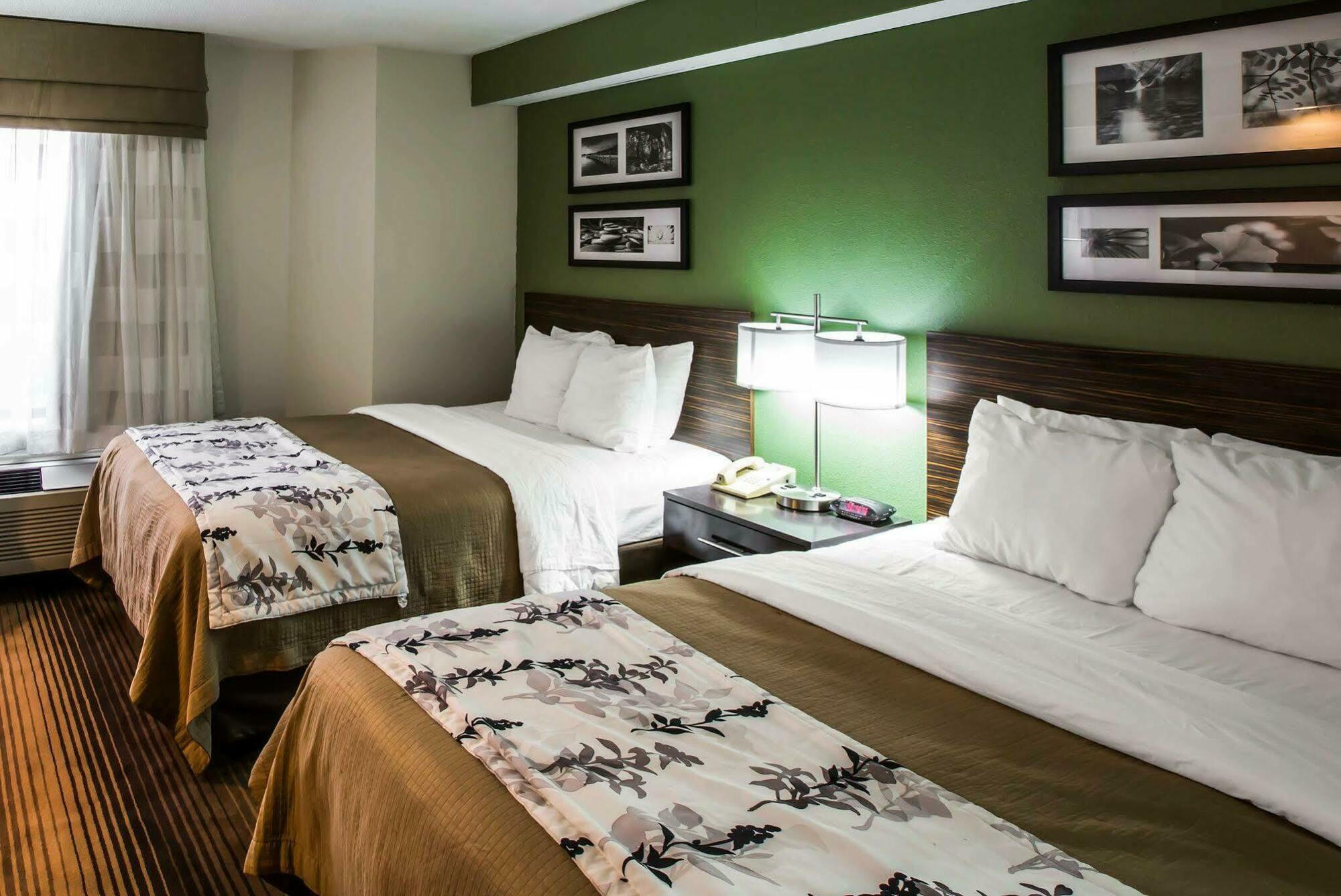 Sleep Inn & Suites Kingsport Tricities Airport Buitenkant foto